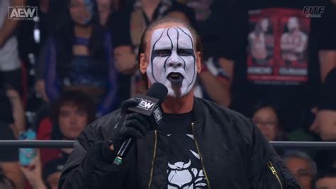 Backstage AEW News On Recent Big Bump Sting Took, Former WWE Executive ...