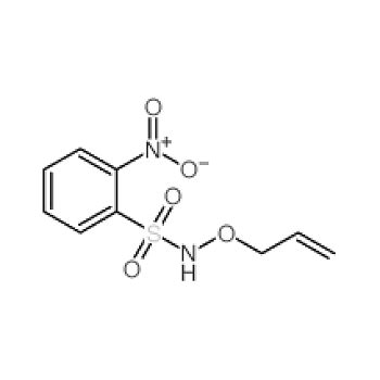 RHAWN 罗恩 N 烯丙氧基 2 硝基苯磺酰胺 95 N Allyloxy 2 nitrobenzenesulfonamide