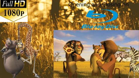 Opening And Closing To Madagascar Escape 2 Africa 2009 Blu Ray Disc