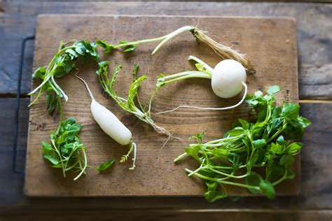 七草粥はいつ食べる？七草粥に込められた意味や七草それぞれの栄養を知り、お正月の疲れた胃をゆっくり休めよう【日本の行事食シリーズ：人日の節句1