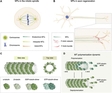 Frontiers Recent Approaches To The Identification Of Novel