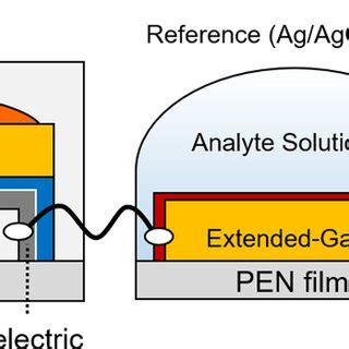 A The Ofetbased Immunosensor For The Detection Of Chromogranin A