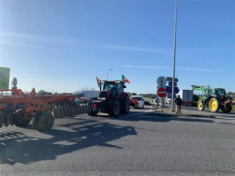 Agricultores em protesto condicionam acessos à Ponte Vasco da Gama O