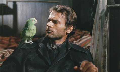 那些男色電影 Actor Terence Hill