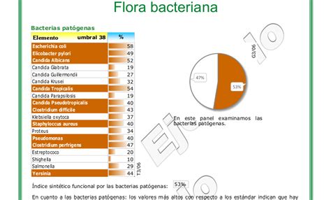 SIBO IMO LIBO y SIFO Qué son estos palabros