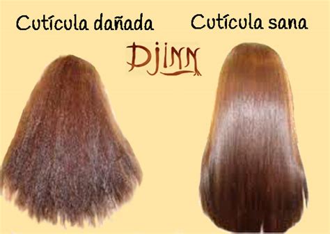 La Cutícula Del Cabello Henna Radico Guatemala