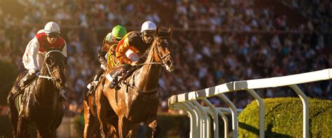 Unlocking The Secrets Of Racing Form How Workouts Equibase Can Improve Your Horse Racing Wagers