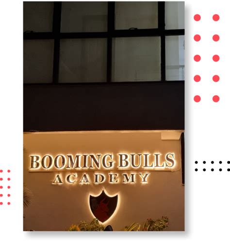 Hybrid Center Delhi Booming Bulls Academy