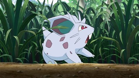 Guide Tude Cibl E Nidoran Et Nidoran Dans Pok Mon Go Margxt