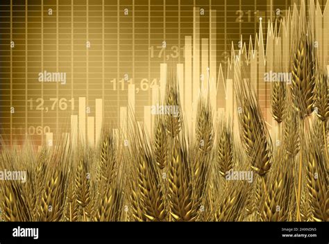 Aumento De Los Precios Mundiales Del Trigo Y La Harina Y Aumento De Los