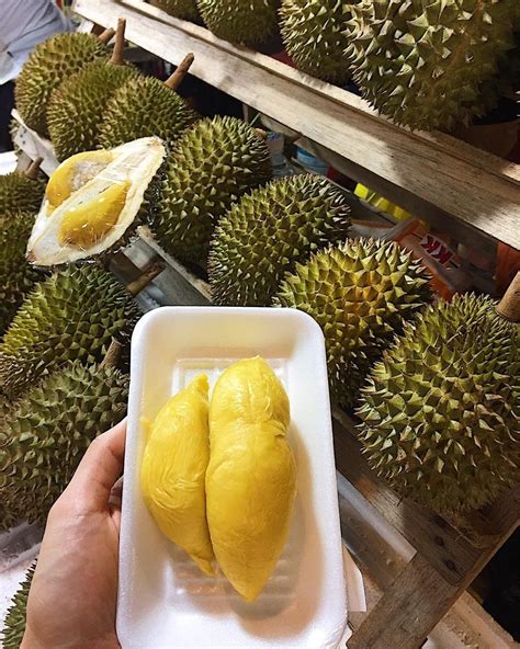 Fresh Musang King Durian Price