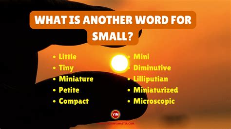 What Is Another Word For Small Sentences Antonyms And Synonyms For