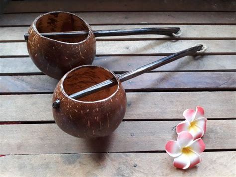 2 Pcs Handicrafts Mini Size Coconut Shell Hanging Planter Etsy