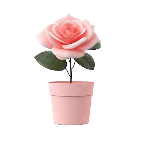 D Rendering Rose Flower With Pot Isolated D Flower Flower Rose Png