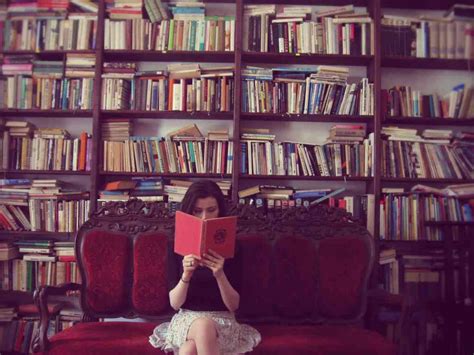 Bibliophile Wallpapers Top Free Bibliophile Backgrounds Wallpaperaccess