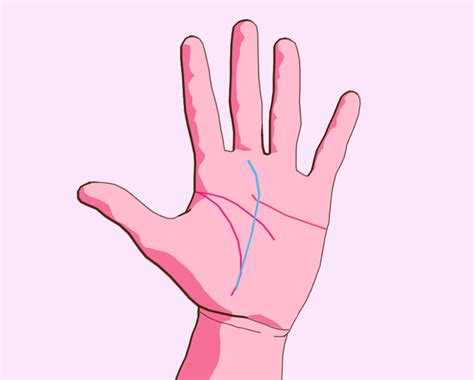 Easy Palmistry Guide to Reading Your Fate (Destiny) Line