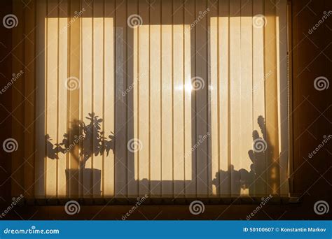 Shadow On Window With Venetian Blinds Stock Image Image Of Sunlight