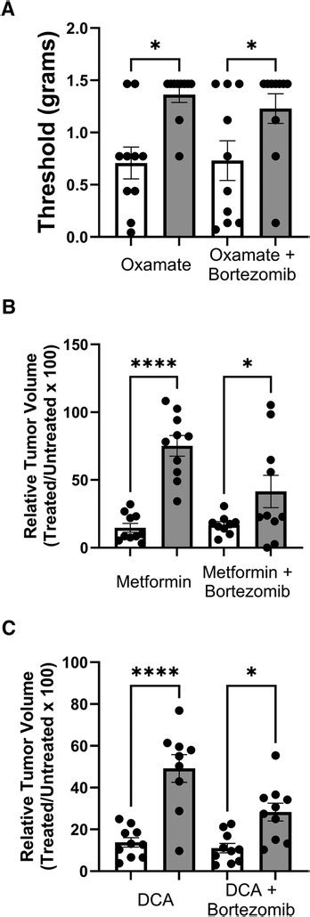 Frontiers Targeting Metabolic Pathways Alleviates Bortezomib Induced