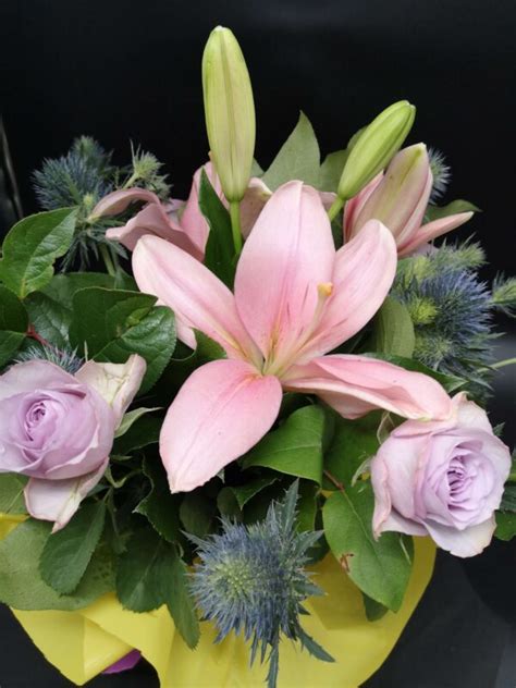 BloomsUp Di Rose Lilium Ed Eryngium Blooms Shop