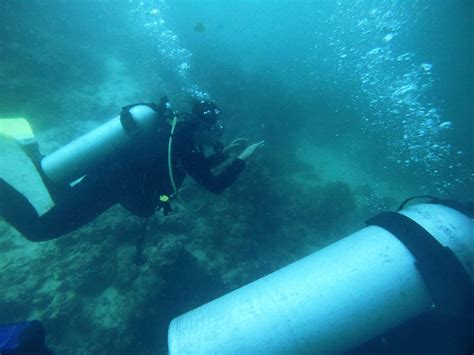 15 Thrilling Sipadan Diving Packages For All Budgets