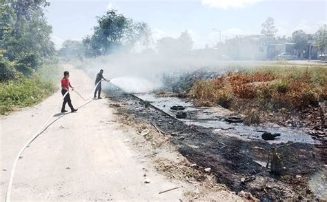 Incendios Forestales Arrasan Con Mil Hect Reas En Quintana Roo