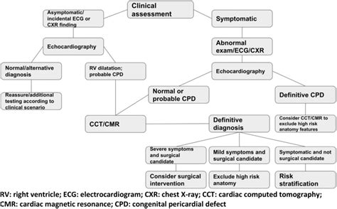 A Suggested Clinical Assessment Pathway For Evaluation Of Congenital Download Scientific