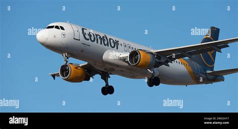 Tenerife Spain January 17 St 2024 Airbus A320 212 Condor Airlines