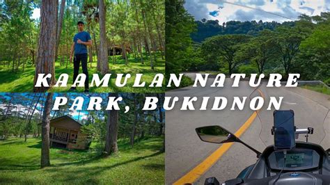 Kaamulan Nature Park Malaybalay Bukidnon Lantapan Butuan