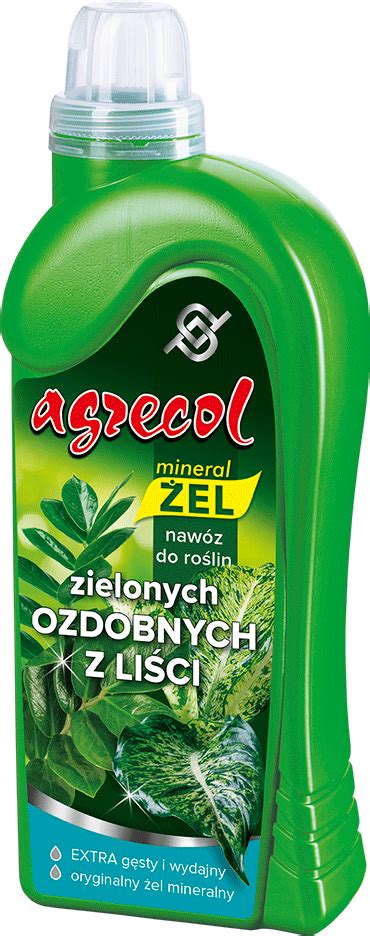 Naw Z Do Ro Lin Zielonych Ozdobnych Z Li Ci Mineral El Agrecol