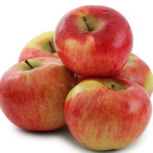 Malus Domestica Honeycrisp Semi Dwarf Apple