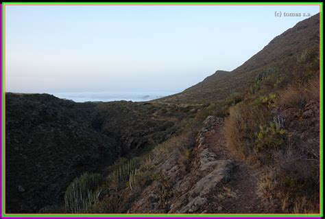 Tenerife Senderos TENERIFE SENDEROS ARONA LADERA NORTE DE