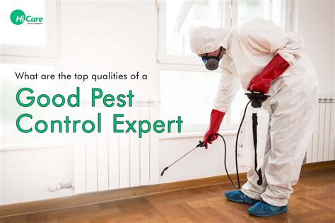 What Are The Top Qualities Of A Good Pest Control Expert Hicare