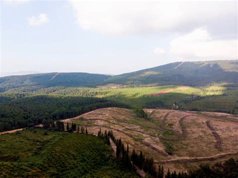 Aerial Drone View Of Aydos Forest Landscape With Trees Hills And