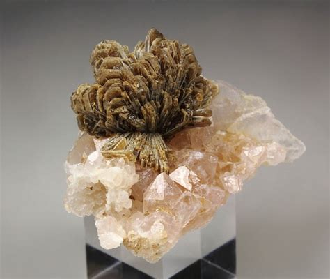 Quebul Fine Minerals Archive EOSPHORITE QUARTZ Var ROSE QUARTZ