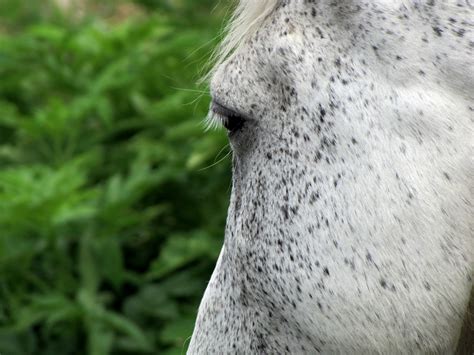 den eindringling trotzdem immer im blick fotos hikrorg