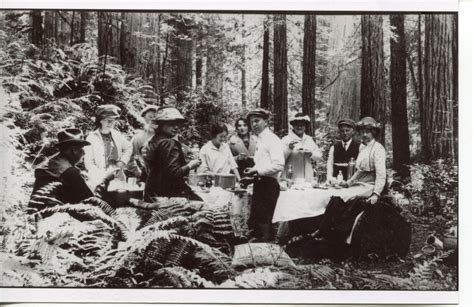 The Redwoods Provided Clarke Historical Museum