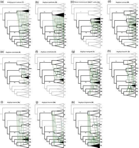 Genomewide Sequence Information Reveals Recurrent Hybridization Among