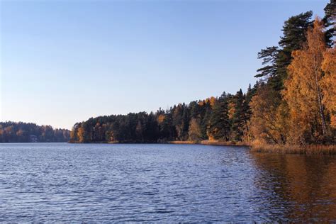 Bildet Landskap Tre Natur Skog Villmark Fjell Vinter Himmel