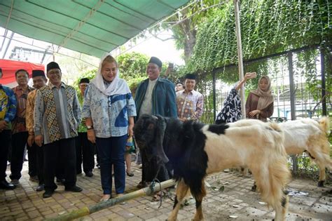 Ini Jumlah Hewan Kurban Pemkot Semarang Yang Akan Dibagikan Hingga