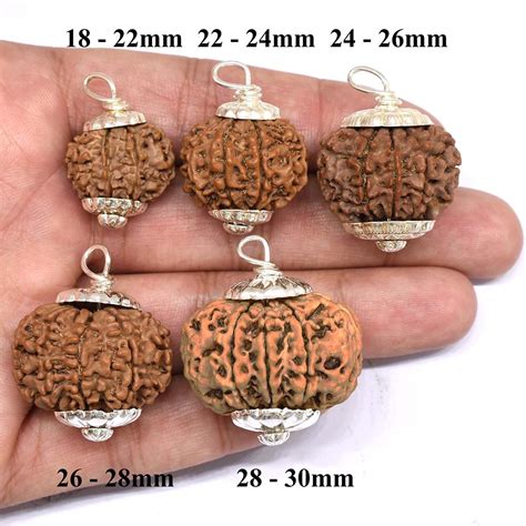 8 Mukhi Rudraksha Benefits Mantra Authenticity And How To Wear It