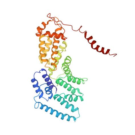 RCSB PDB 5VFP Nucleotide Driven Triple State Remodeling Of The AAA