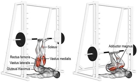 10 Best Leg Press Alternatives