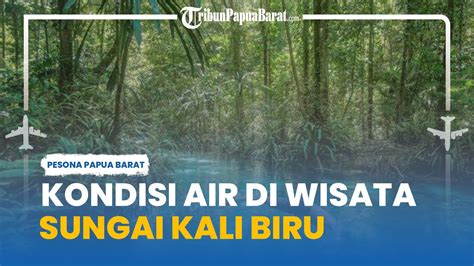 Berkunjung Ke Wisata Air Sungai Kali Biru Papua Barat Air Sebiru