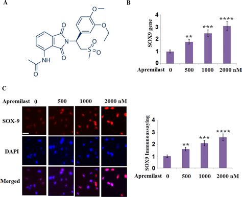 Apremilast Increased The Expression Of Sox In Human T C A