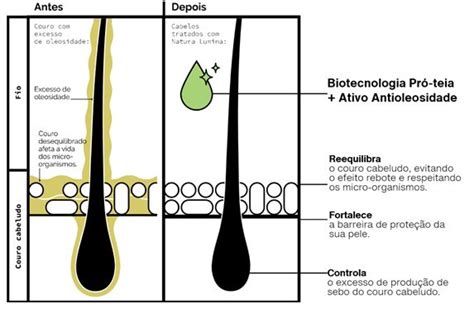 Cabelos Oleosos Requerem Tratamento Integral Que Regula As Fun Es Do
