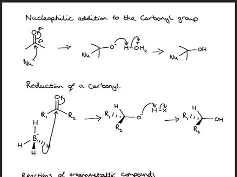 Organic Chemistry Mechanisms first Year Undergraduate Chemistry - Etsy