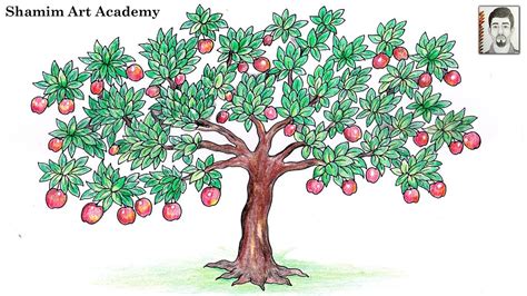 Apple Tree Drawing Step By Step