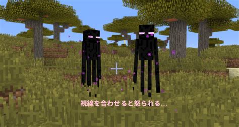 マインクラフト エンダーパール 集め方 Minecraftのギャラリー