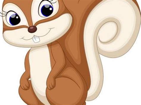 Clipart Squirrel Female Squirrel Clipart Squirrel Female Squirrel