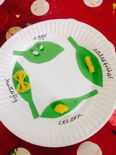 Creative life cycle | Minibeasts, Creative, Creative life